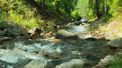 Rocky Creek In The Forest River With Rocks Stock Photo Image Of