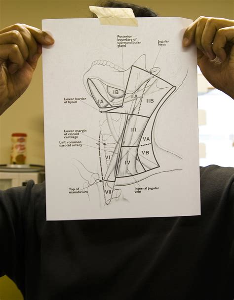 Level Iia Deng Xiao Holding Up My Reminder Diagram Of Neck Flickr