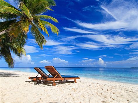 Wallpaper Palm Trees Paradise Beach Deck Chair Sea Summer