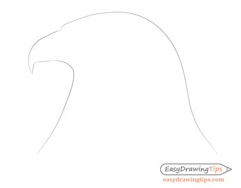 Eagle Drawing Easy Wolf Head Drawing Outline Hughes Justong