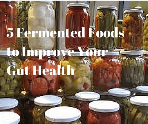 5 fermented foods to improve your gut health