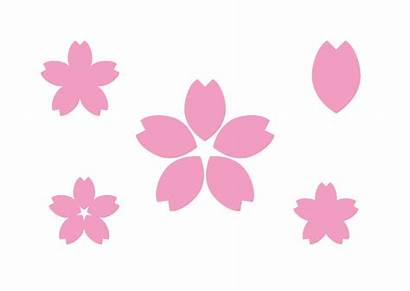 Sakura Clipart Cherry Blossom Petal Svg Clip
