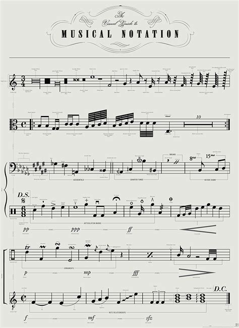 'A Visual Guide to Musical Notation' by Pop Chart Lab Featuring Symbols