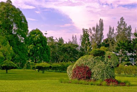 Taman Bunga Nusantara Flower Garden Cipanas West Java Indonesia