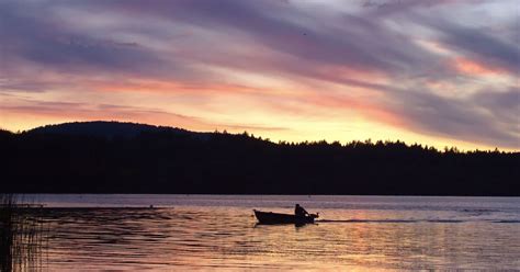 Campaign To Replace The Elk Lake Fishing Dock Gains Momentum Island