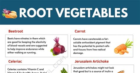 Root Vegetables List Of Root Vegetables And Their Amazing Benefits 7esl