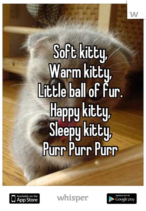 Soft Kitty Warm Kitty Little Ball Of Fur Happy Kitty Sleepy Kitty