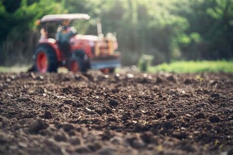 Soil Vs Dirt Whats The Difference