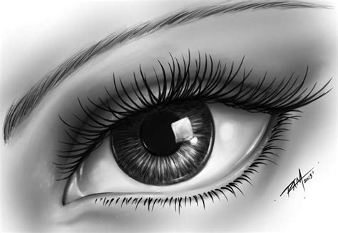 Pictures Of Sketched Eyes At Explore Collection Of
