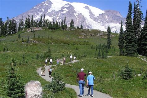 Mt Rainier Day Tour From Seattle