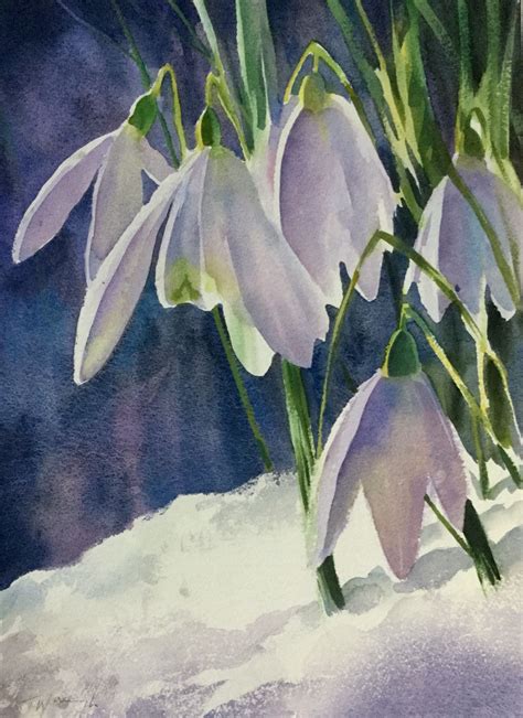 Snowdrops Watercolour By Trevor Waugh Floral Watercolor Flower