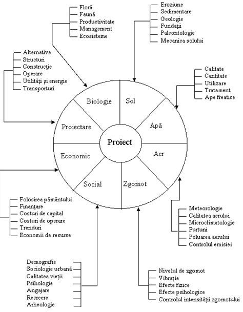 Managementul Interactiunii Proiect Mediu