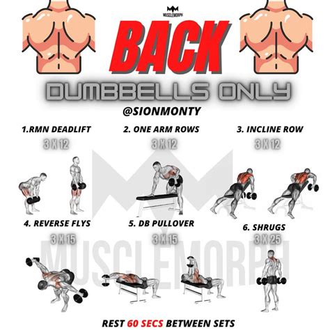 Back Workout Dumbbell Only In Dumbbell Back Workout Dumbbell Workout Plan Workout Plan Gym