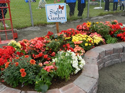 Sight Garden Sensory Garden Pollinator Garden Amazing Gardens