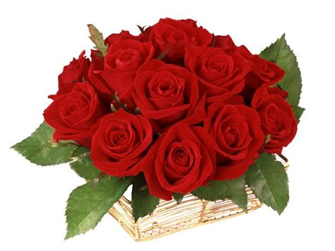 Flowers For Flower Lovers Red Roses Wallpapers