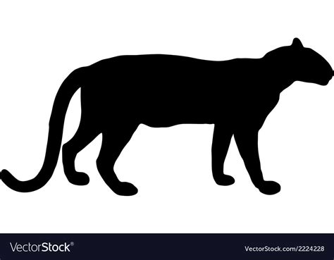 Leopard Silhouette Royalty Free Vector Image Vectorstock