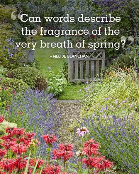 25 Spring Quotes To Welcome The Season Of Renewal Our