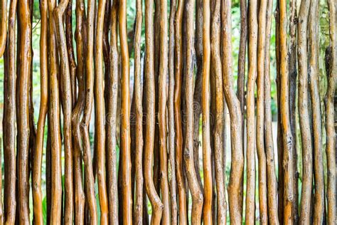 Row Of Dry Wooden Twigs Stock Photo Image Of Frame Dark 78940482