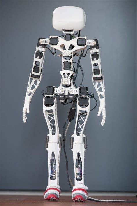 Poppy Un Robot De Código Abierto Impreso En 3d Humanoid Robot 3d