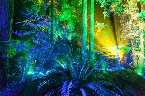 Enchanted Forest Of Light Brings Las Most Stunning Holiday Display