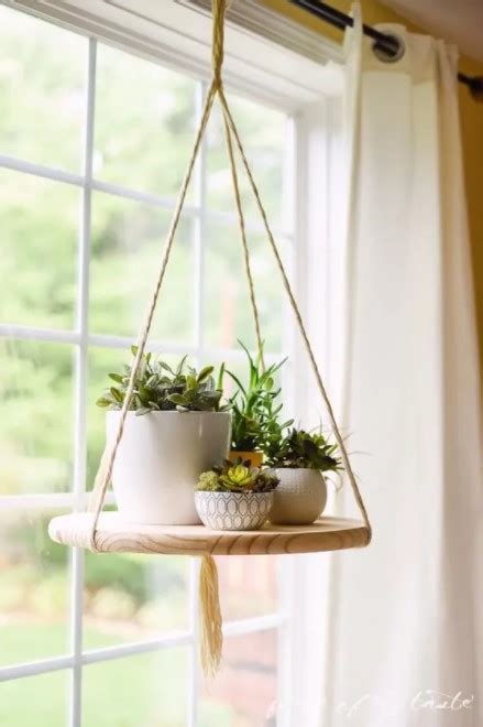 10 Ways To Hang Plants From The Ceiling Without Drilling