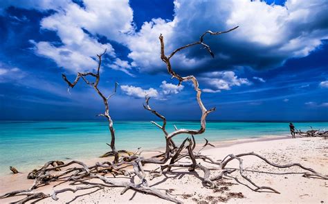 Landscape Nature Beach Sand Tropical Sea Sky Turquoise Caribbean Water Clouds Dead