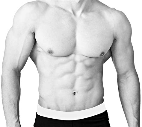 Internal and external obliques work to rotate the torso and stabilize the abdomen. Muscular Male Torso - WAXmd