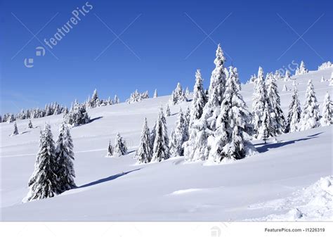 Photograph Of Snow Covered Mountain And Trees
