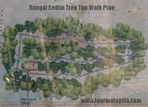 Coming back to sedim tree top walk, i felt lost and hardly remembered anything except from the name of a tree which was the reason my siblings and 45 minutes away from home, sungai sedim is a chill and crystal clear river streaming in the midst of tropical jungle. Ke Zheng Liang: Tree Top Walk @ Sg. Sedim, Kedah