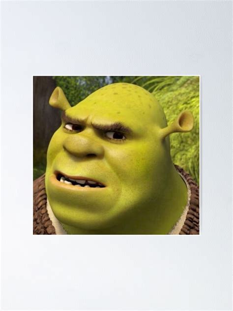 Shrek 3 Shrek Confused Poster For Sale By Volkaneeka Redbubble