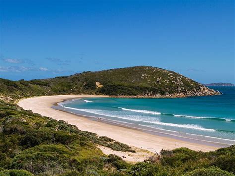Wilsons Promontory Nature And Wildlife Gippsland