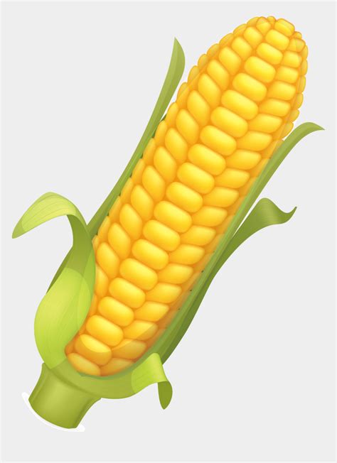 Cartoon Corn On The Cob Images