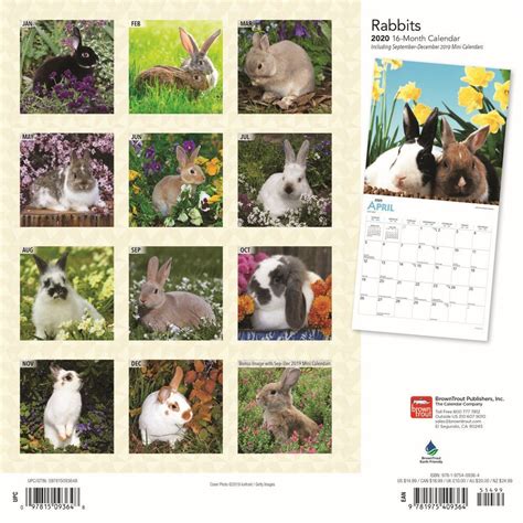 Rabbits Wall Calendar