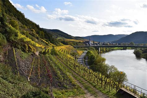 An Insiders Guide To A World Famous German Wine Region Wine Enthusiast