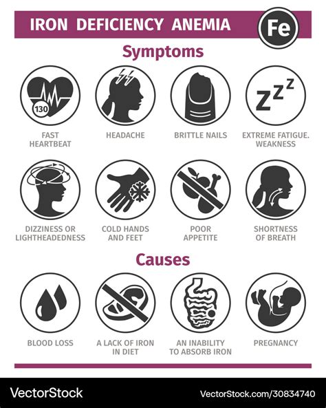 Symptoms And Causes Iron Deficiency Anemia Vector Image The Best Porn