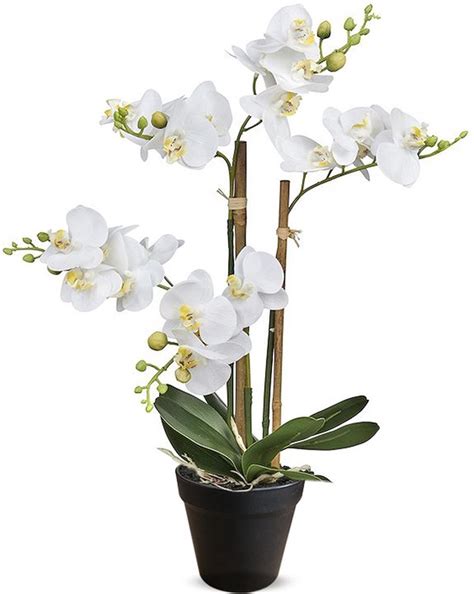 Kunstplant Orchidee Phalaenopsis Mini Tak Wit H Cm Htt