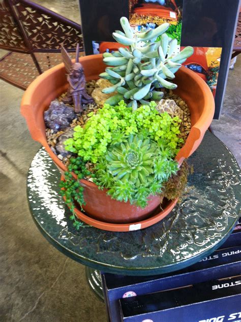 Succulent Garden By Kristin Middleton Succulents Cactus And