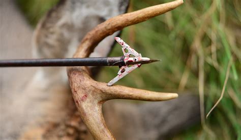 The Best Broadhead Choice For Each Bowhunting Situation Bowhunter