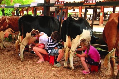 Panaca is a city of a thousand people in southern nevada. Parque Nacional de la Cultura Agropecuaria PANACA » Rutas del Paisaje Cultural Cafetero