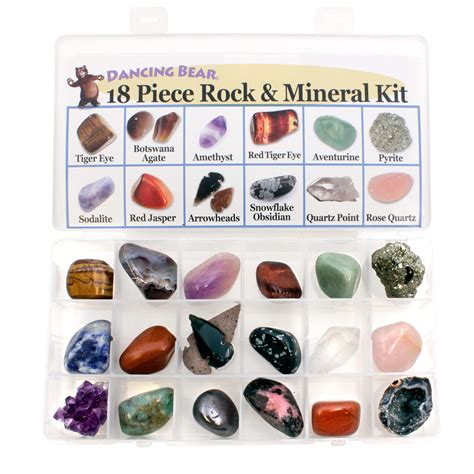 Buy Rock And Mineral Educational Collection In Collection Box 18