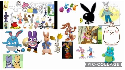 Which One Of These Bunnies And Rabbits Are Better