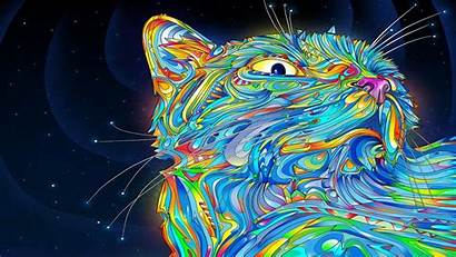Trippy Cat Psychedelic Uploaded