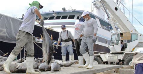 México Establece Veda Para La Pesca De Atún Última Hora Industrias