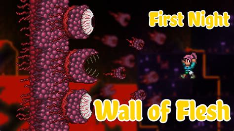 Terraria Wall Of Flesh Kill On The First Night Youtube