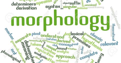 What Is Morphology ~ Morphology