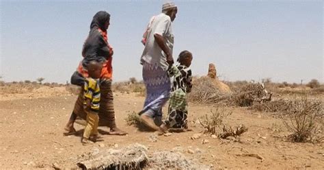 Horn Of Africa Suffers From Severe Drought