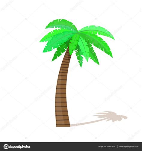 Hojas De Palma Tropical De Dibujos Animados Vector Ilustrado Sobre Images