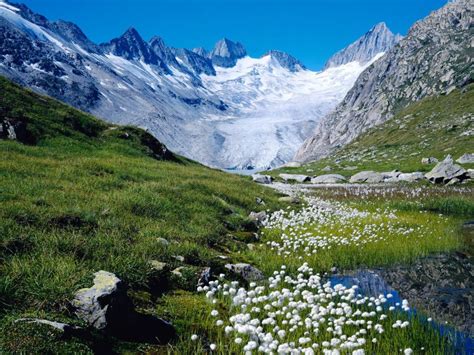 Snow Mountain And Flowers Switzerland Landscape Truly Hand Picked