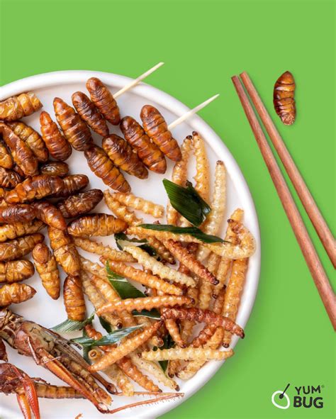 What Do Edible Insects Taste Like