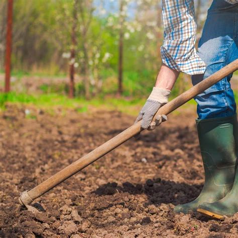 A Good Garden Starts With A Good Soil—and Theres No Better Example